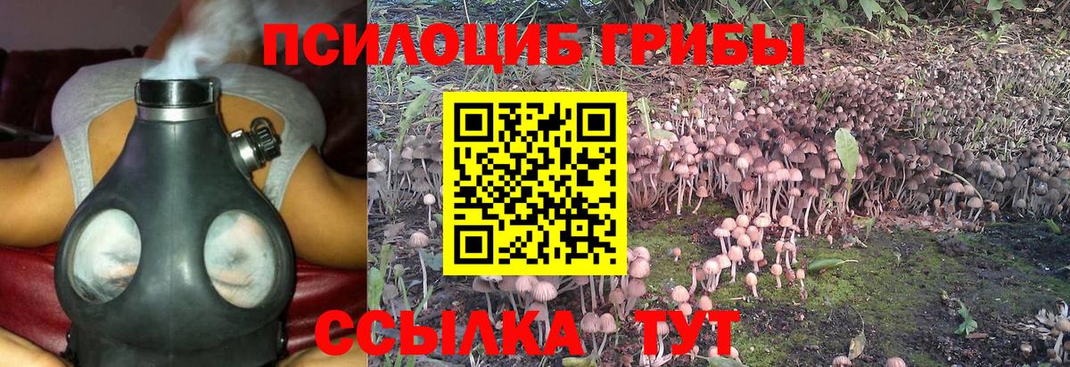 Татарск  Псилоцибиновые грибы MAGIC MUSHROOMS  Вход с VPN 