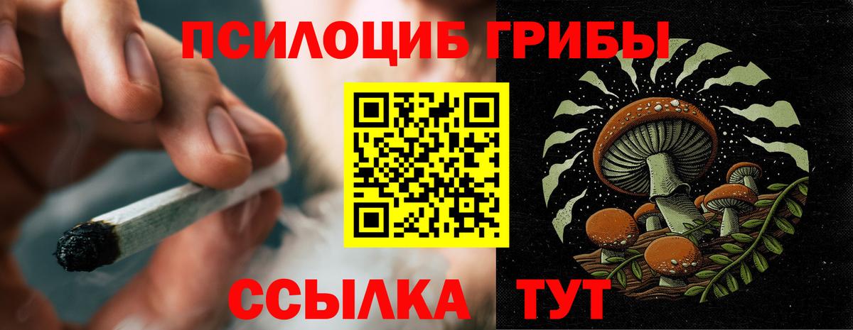 Псилоцибиновые грибы Psilocybine cubensis Татарск
